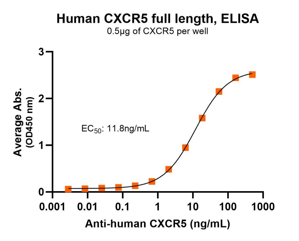 Human CXCR5 Full Length ELISA