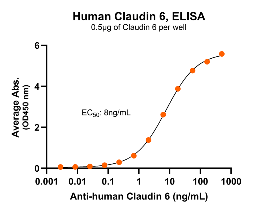 claudin-6 antibody binding