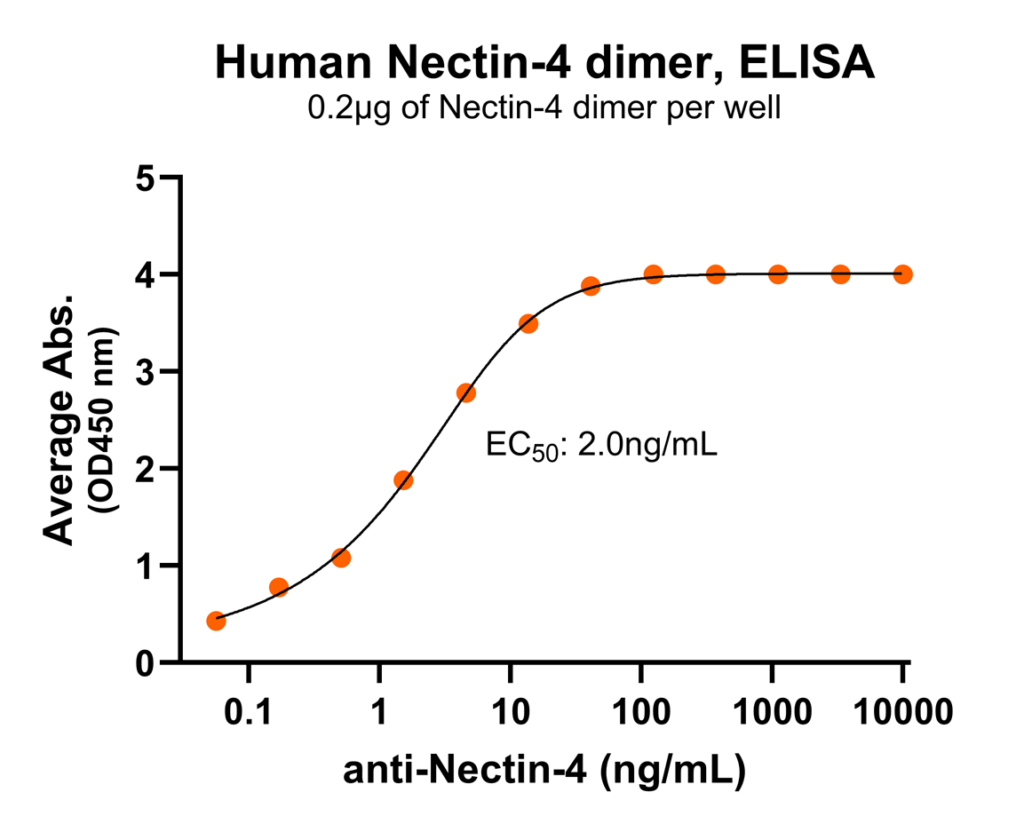 nectin-4 antibody binding