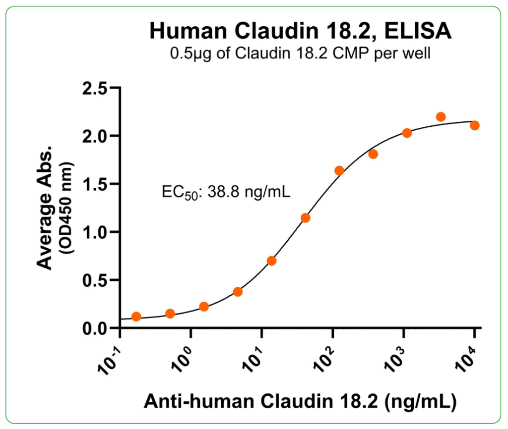 claudin 18.2 antibody binding