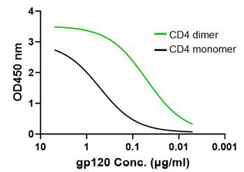 CD4 dimer binding to HIV-1